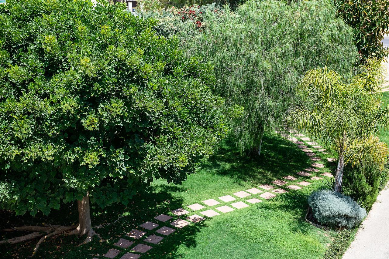 Villa Ismini Kato Daratso Ngoại thất bức ảnh